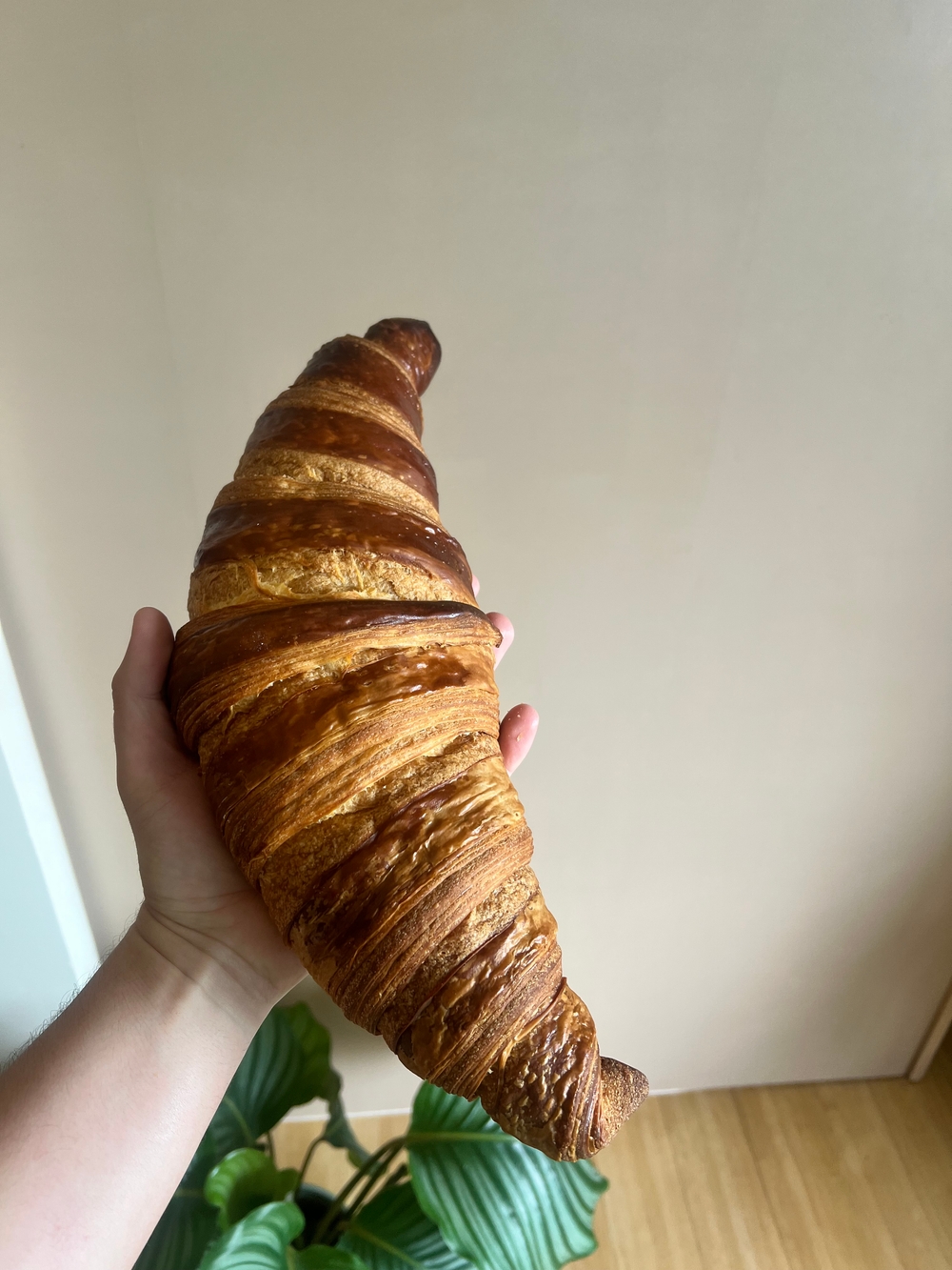 img of Croissant géant 🥐